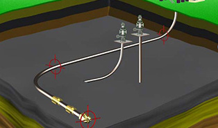 分支及三维绕障井